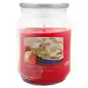 Vela Candle Lite 97021 Apple Cinnamon Crisp 18oz