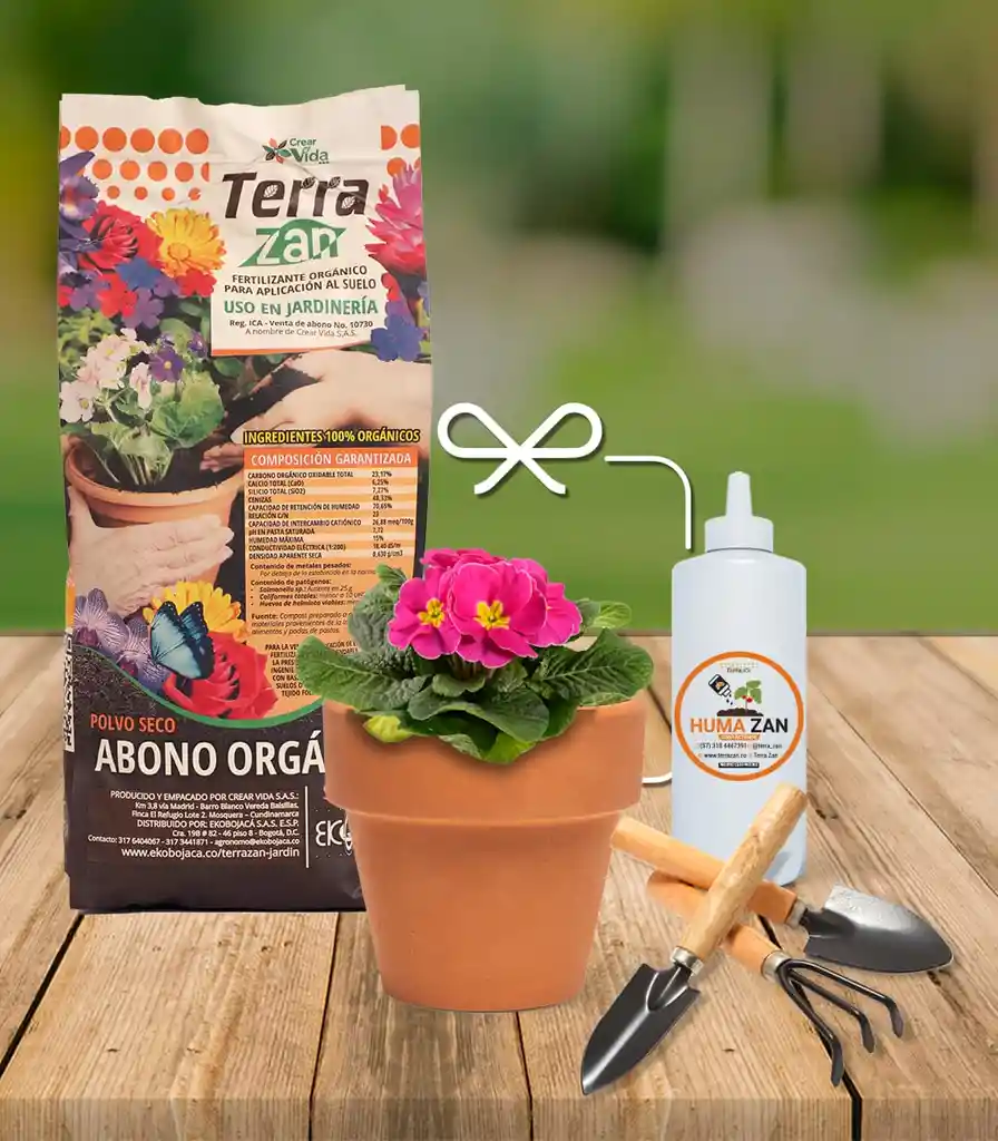 Kit Florece