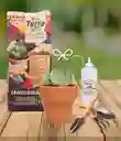Kit Florece