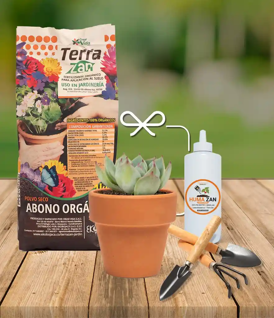Kit Florece