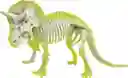 Juego Didáctico Arqueojugando Triceratops Fósil Para Niños