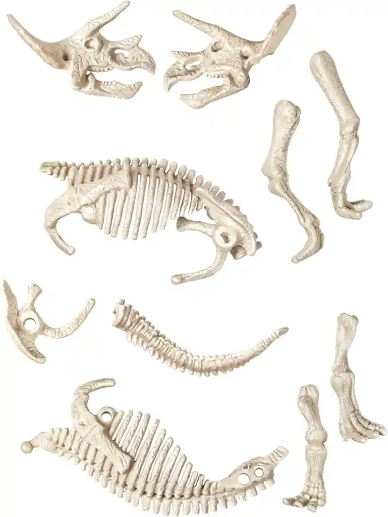 Juego Didáctico Arqueojugando Triceratops Fósil Para Niños