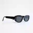 Lentes De Sol