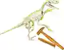 Juego Didáctico Arqueojugando Fósiles De Velociraptor Niños