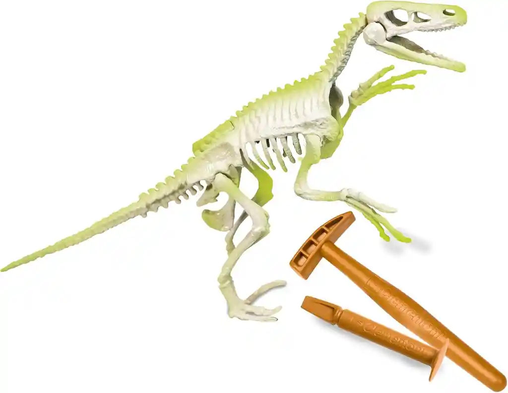 Juego Didáctico Arqueojugando Fósiles De Velociraptor Niños