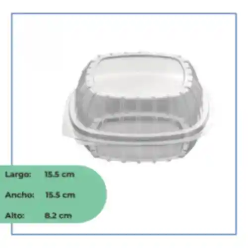 Visual Pack Contenedor Transparente