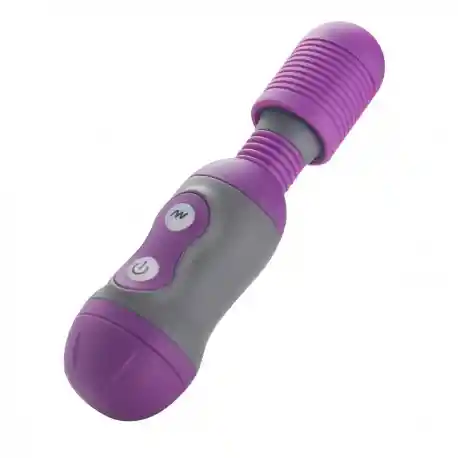 Joy Wand - Private Secret - Hitachi