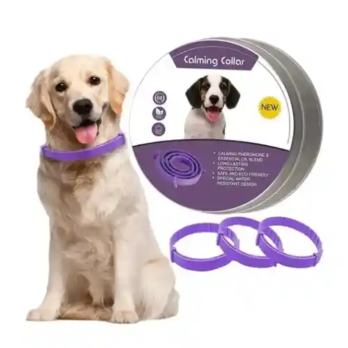 Collar De Feromonas Calming Collar Para Perro