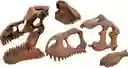 Juego Arqueojugando Cráneo Gigante T-rex Para Niños