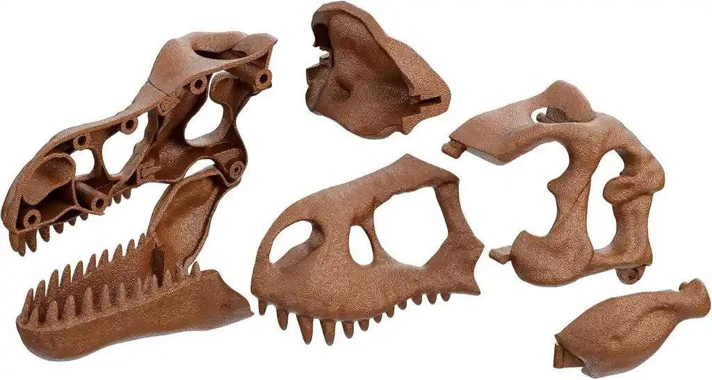 Juego Arqueojugando Cráneo Gigante T-rex Para Niños