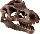 Juego Arqueojugando Cráneo Gigante T-rex Para Niños