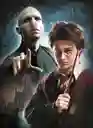 Rompecabezas 3x1000 Piezas Harry Potter Clementoni Adultos