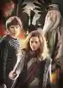 Rompecabezas 3x1000 Piezas Harry Potter Clementoni Adultos