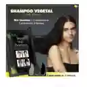 Shampoo Tinte Instantáneo Cubre Canas Color Negro