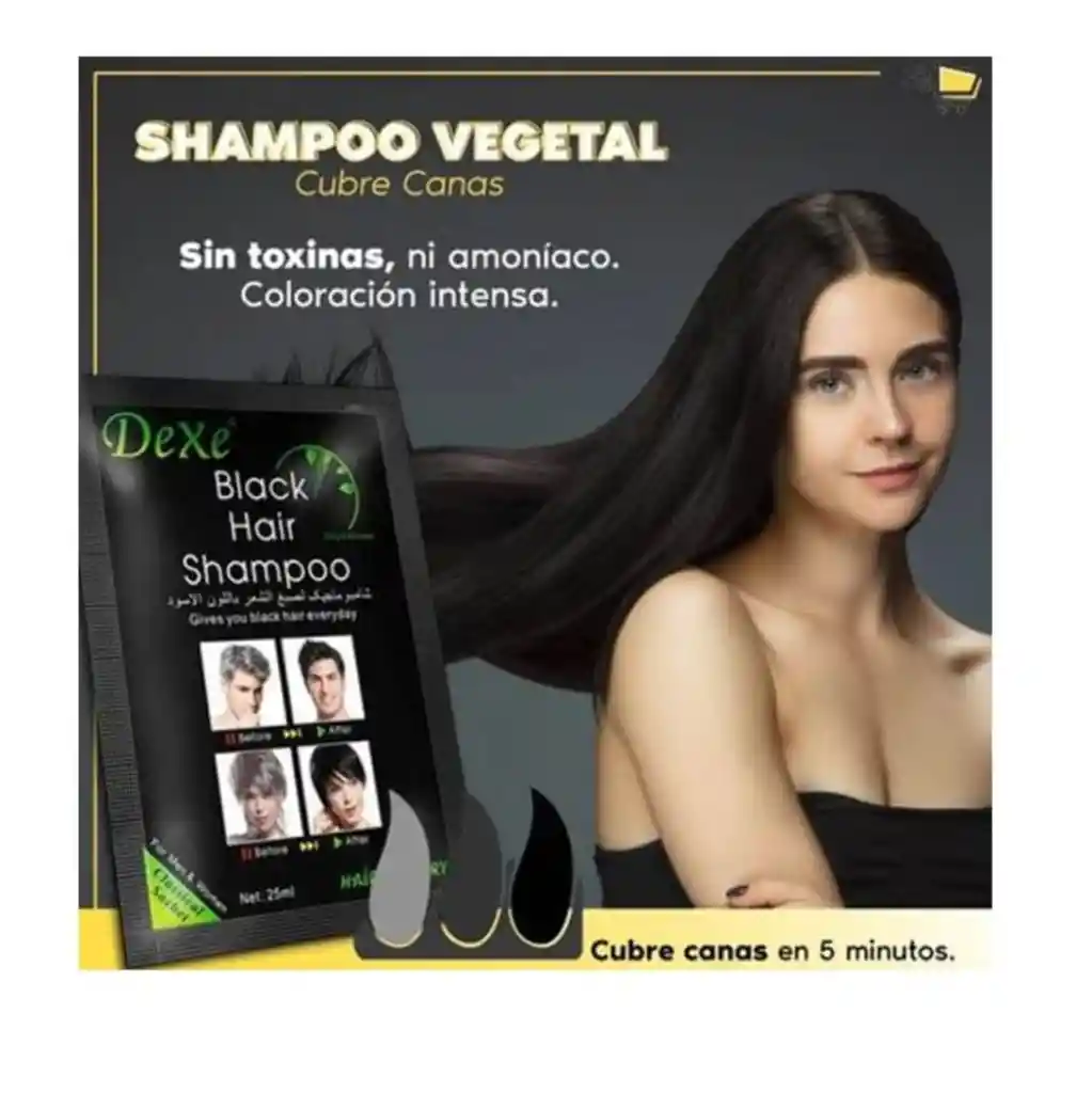 Shampoo Tinte Instantáneo Cubre Canas Color Negro