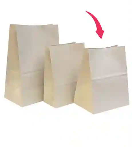 Bolsas De Papel Eco Domicilios X 50 Unidades (28x33+16cm) #2