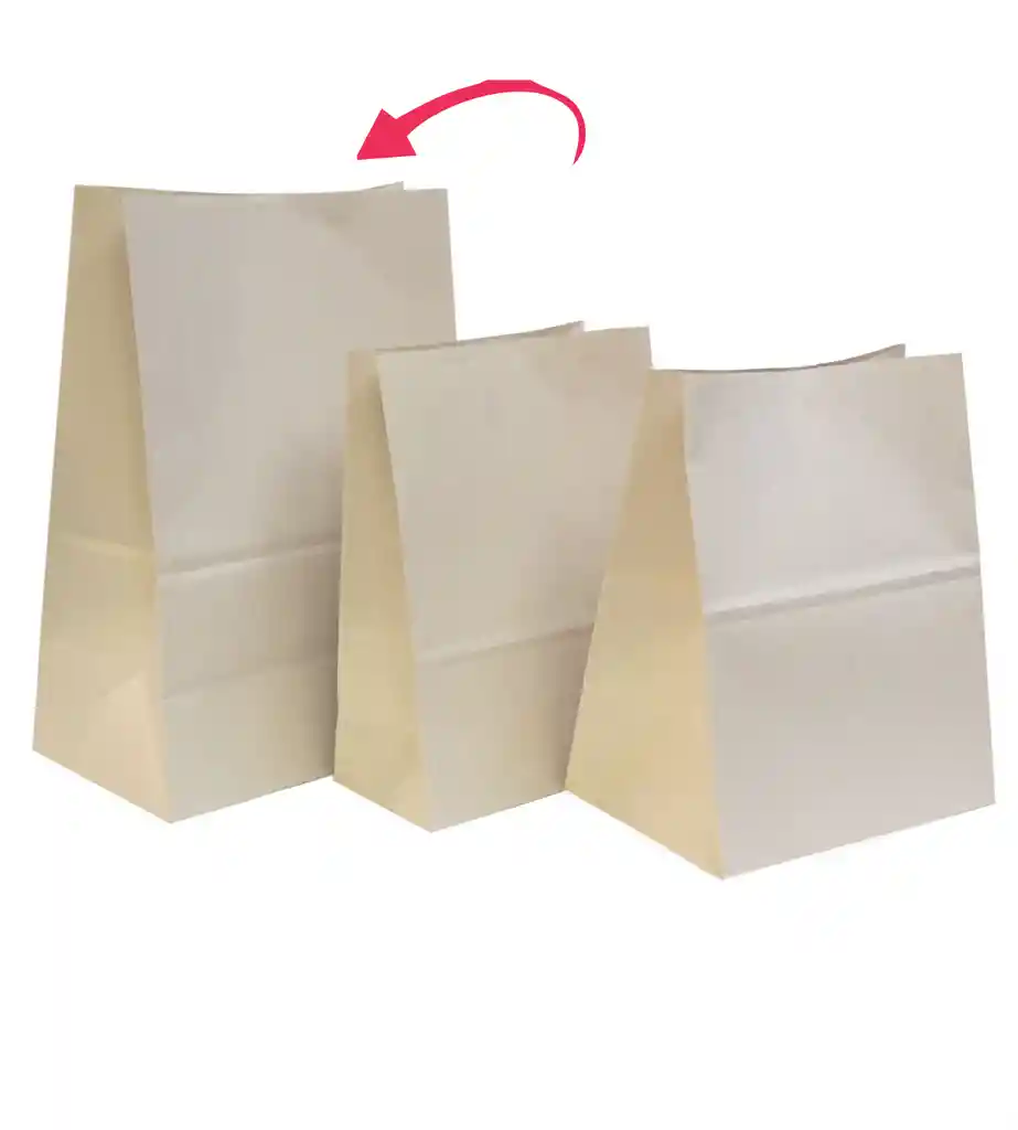 Bolsas De Papel Eco Domicilios X 50 Unidades (33x43+17cm) #3