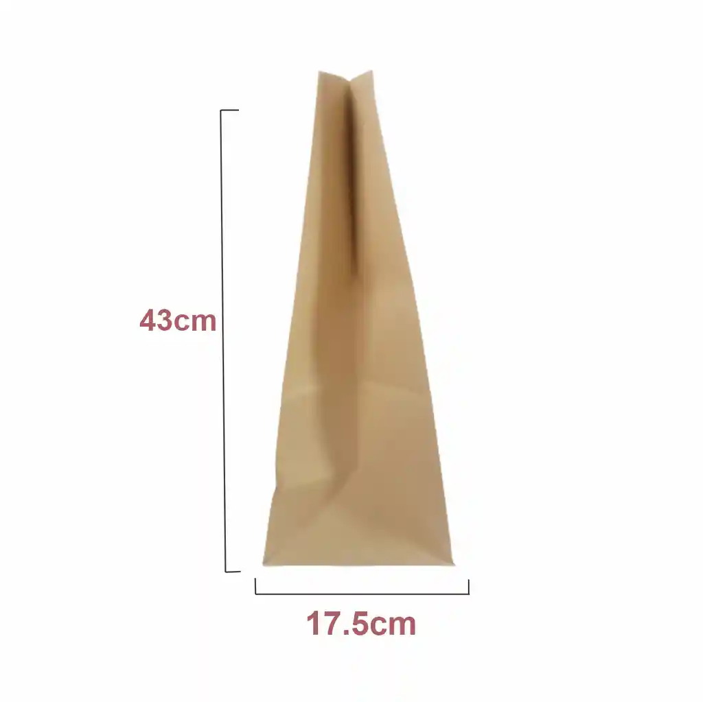 Bolsas De Papel Eco Domicilios X 50 Unidades (33x43+17cm) #3