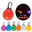 Linterna Para Mascotas