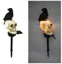 Lampara De Calavera Y Cuervo Negro
