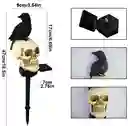 Lampara De Calavera Y Cuervo Negro