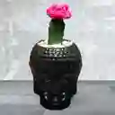 Planta Cactus Coreano Rojo En Madera De Buda