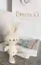 Choco Rabbit Evocacion