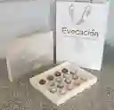 Choco Rabbit Evocacion