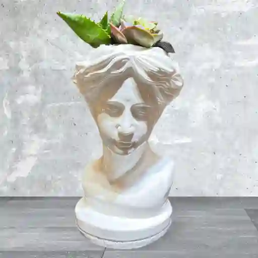 Jardín De Suculentas Rostro De Venus