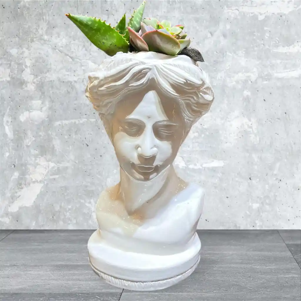 Jardín De Suculentas Rostro De Venus