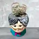 Planta Cactus Mini Matera De Abuela