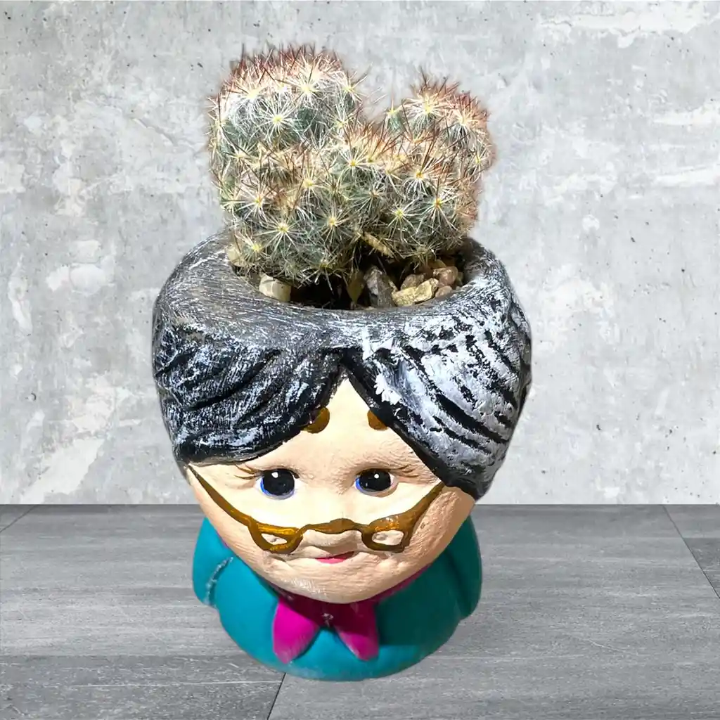 Planta Cactus Mini Matera De Abuela