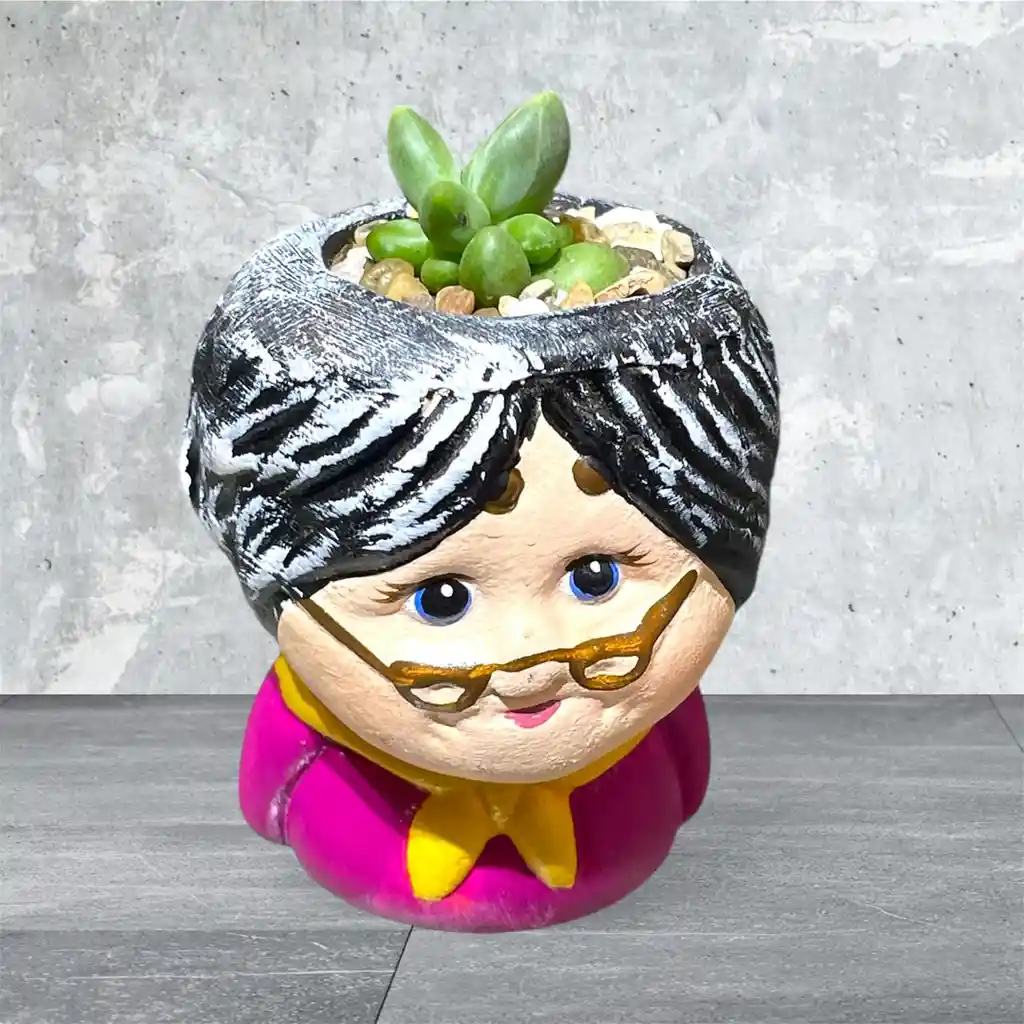 Planta Suculenta Mini Matera De Abuela