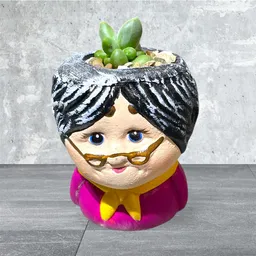 Planta Suculenta Mini Matera De Abuela