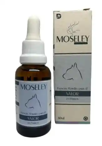 Esencias Florales Moseley