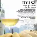 Musa - Vino Natural De Banano X 750ml Cruxe De Las Rocas