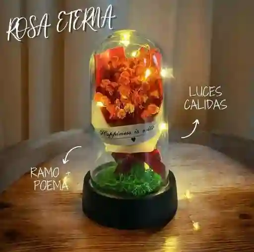 Ramo De Rosas Encapsulada Con Luces