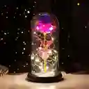 Rosas Decorativas Encapsuladas Con Luces