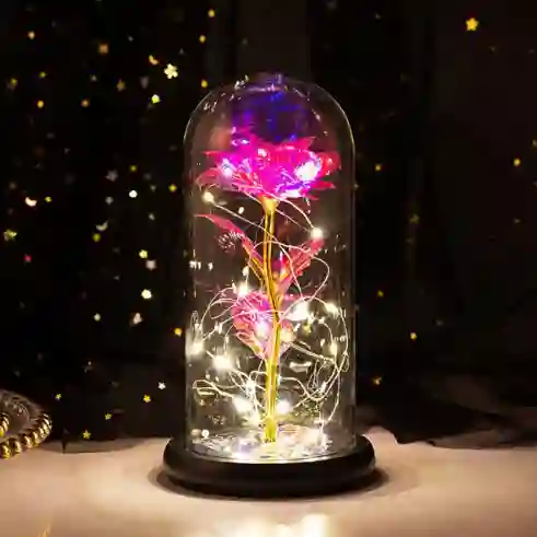 Rosas Decorativas Encapsuladas Con Luces
