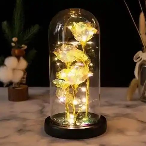 Rosas Decorativas Encapsuladas Con Luces