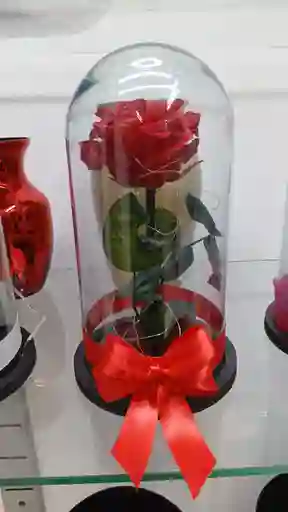 Flor Rosa Presercvada