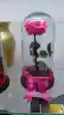 Flor Rosa Presercvada