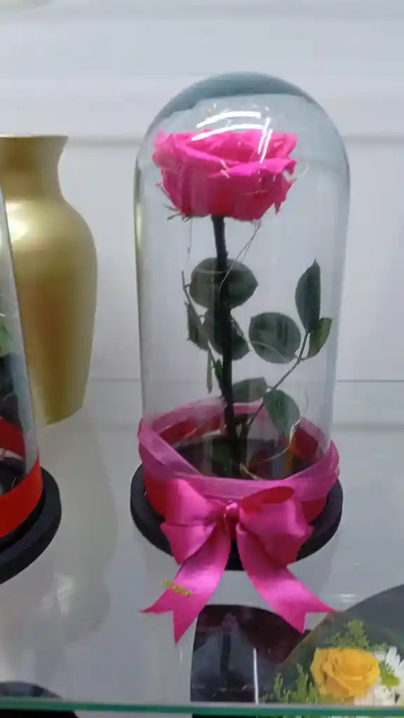 Flor Rosa Presercvada
