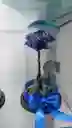 Flor Rosa Presercvada