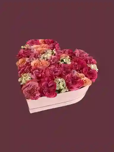Love Rosa