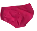 Panties Clásico