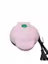 Waflera
