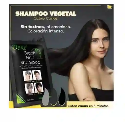 Champú Tinte Para Cabello Cubre Canas Color Negro 10 Sobres