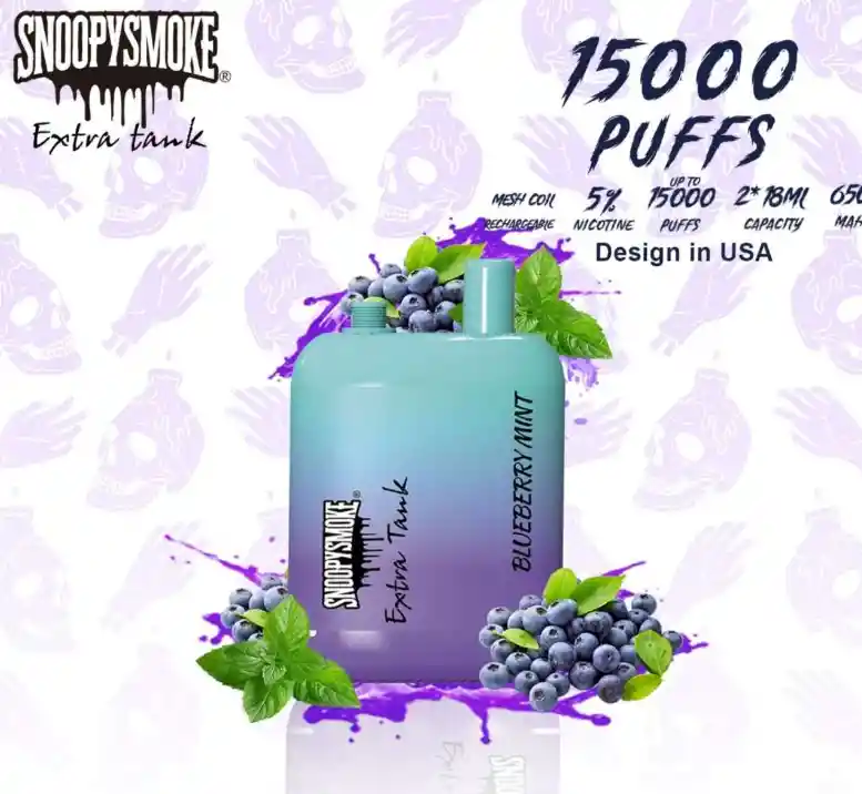 Vape 15.000 Puffs Blueberry Mint