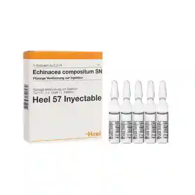 Echinacea Compositum Ampolla 2.2ml